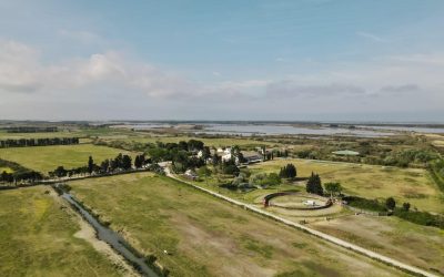 3 idées de séminaires originaux en Camargue