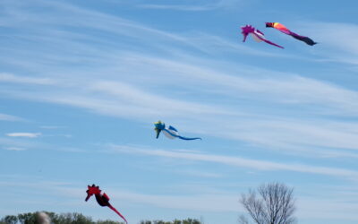 Retour sur les Rencontres du Vent Sauvage 2026 : un événement unique en Camargue