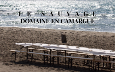 Organiser un événement plus responsable : nos engagements 🍃