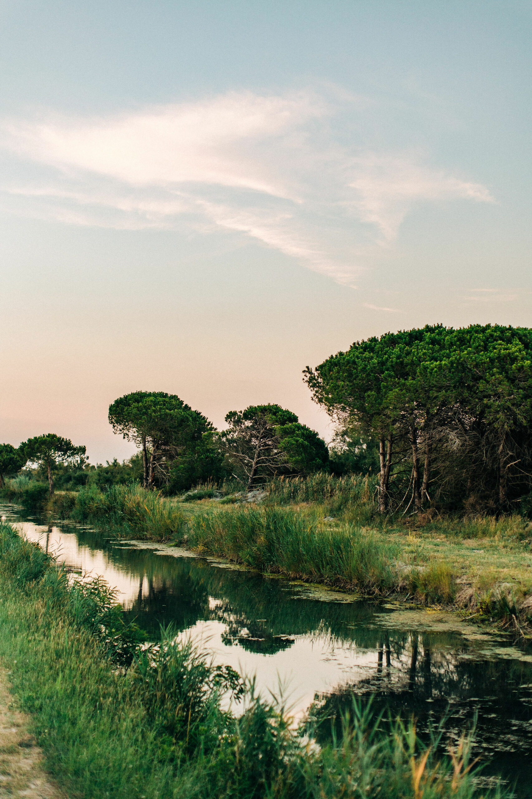Chemin plage roubine