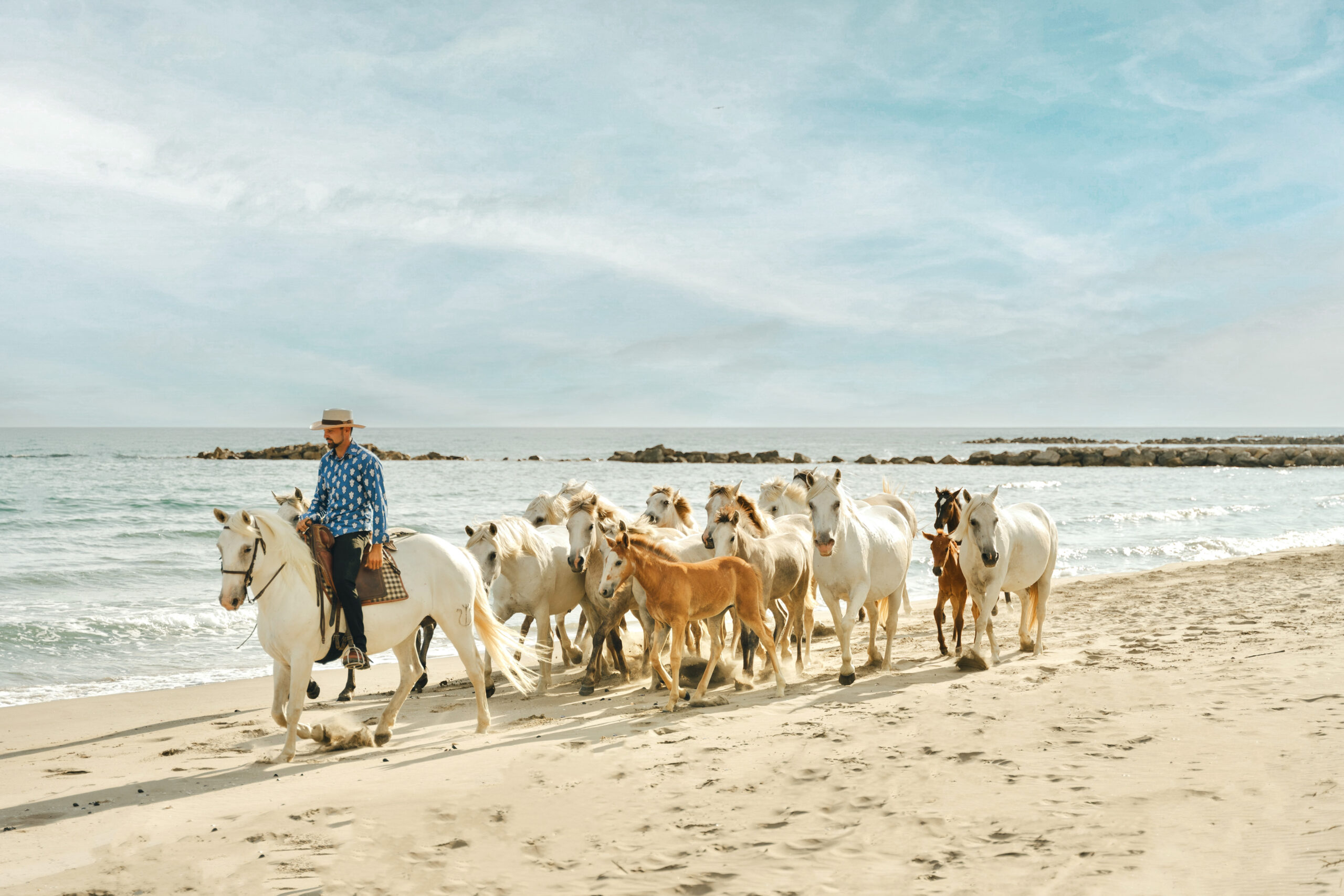 Lâcher Plage 1