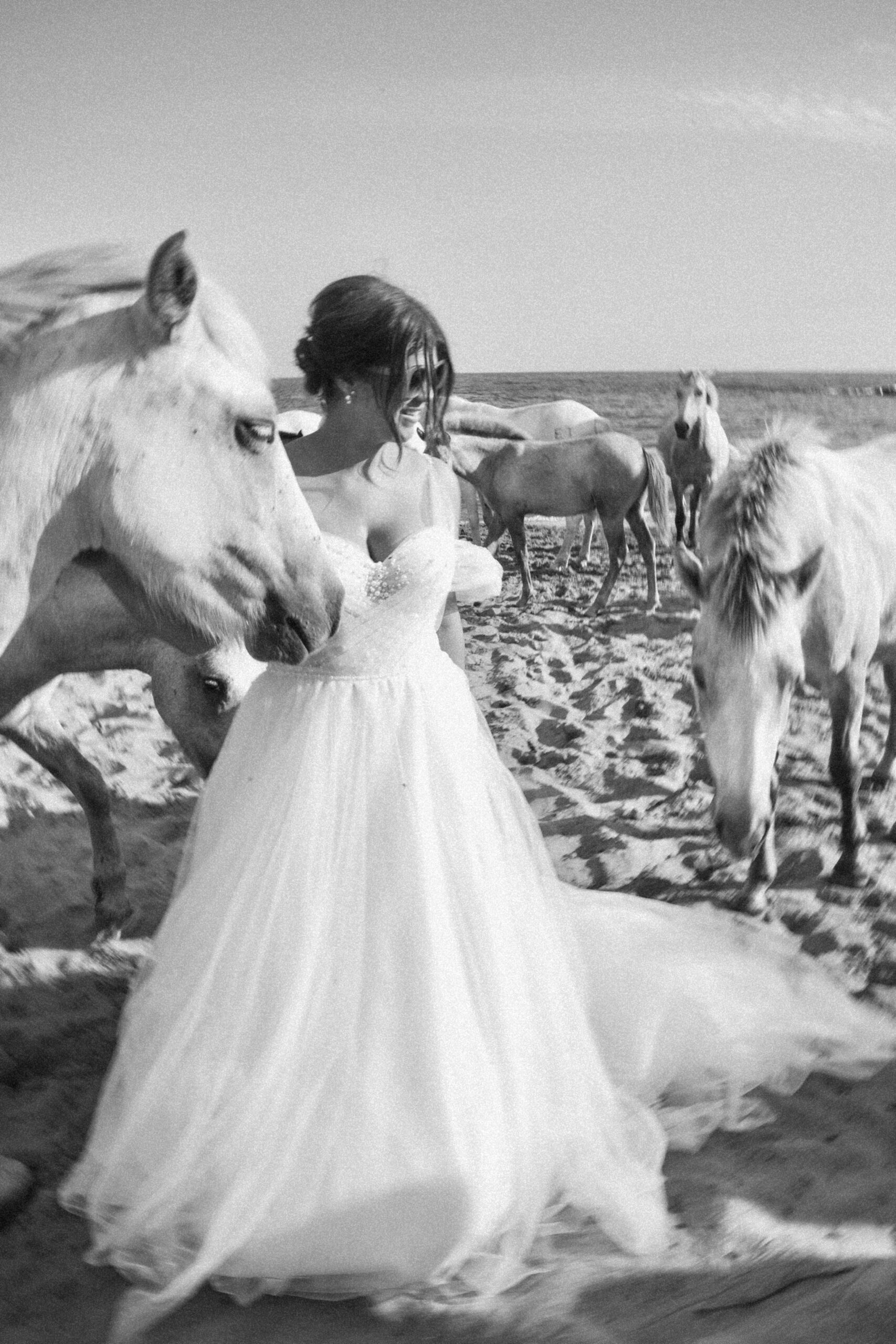 Mariage chevaux plage 9