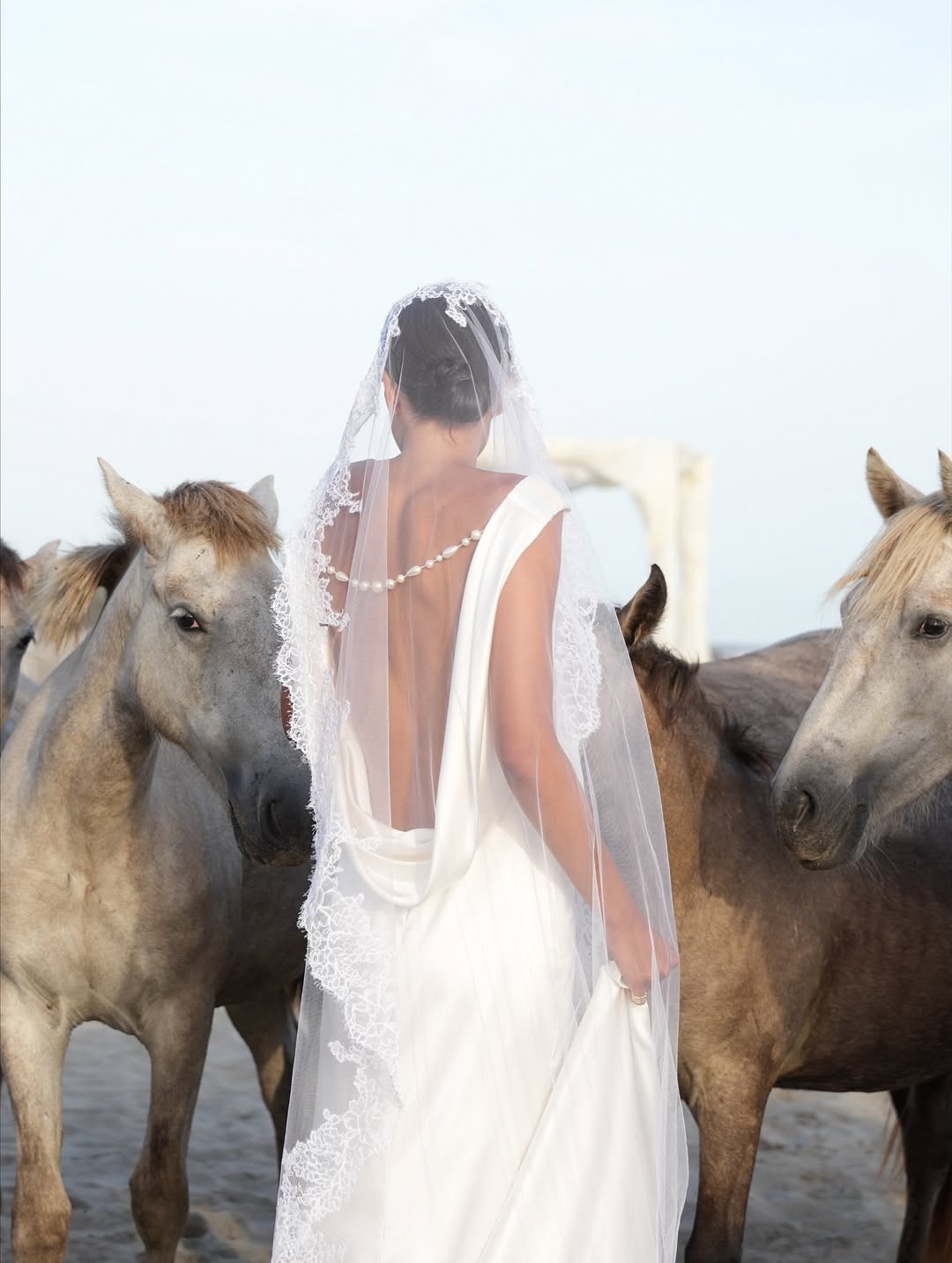 Mariée chevaux