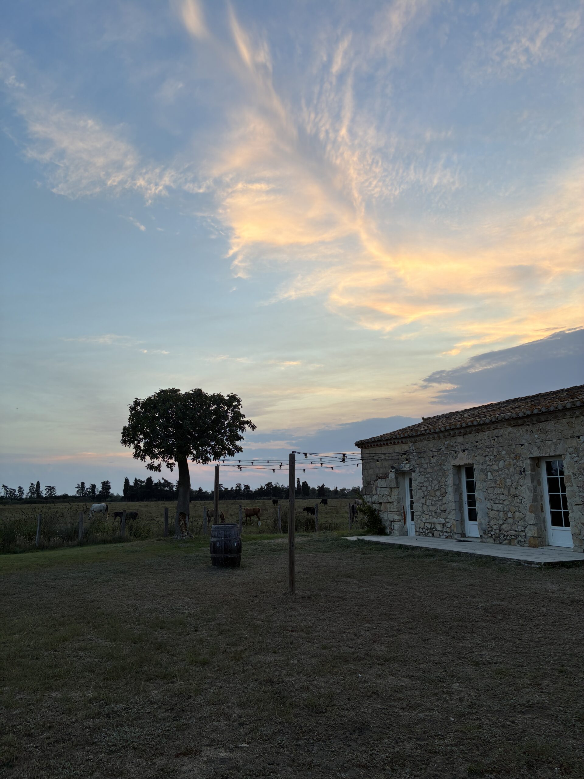 Mazet chevaux et coucher de soleil1