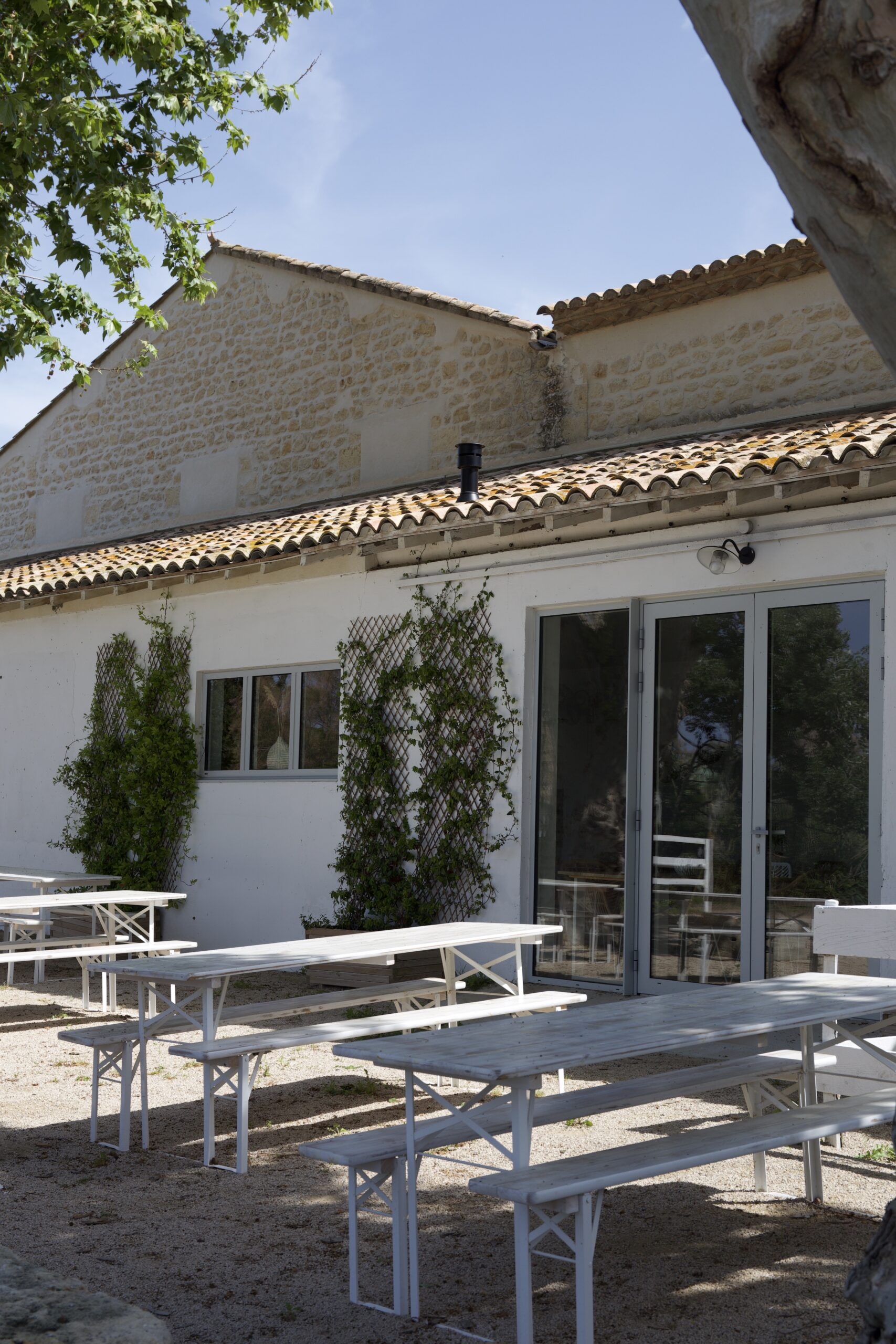 Terrasse Lolaï vierge